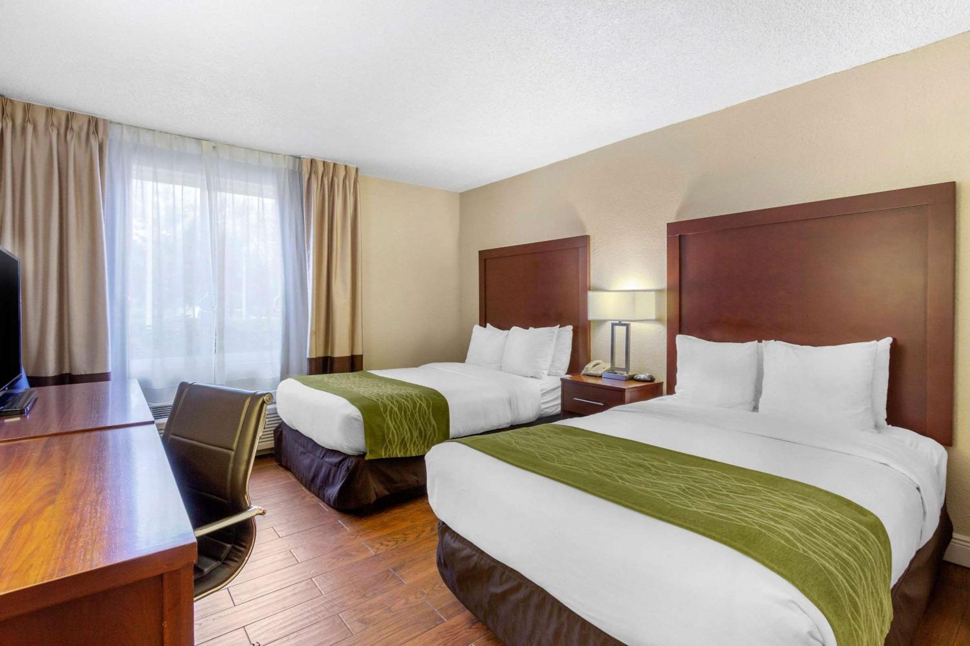 Comfort Inn St Petersburg North San Petersburgo Exterior foto