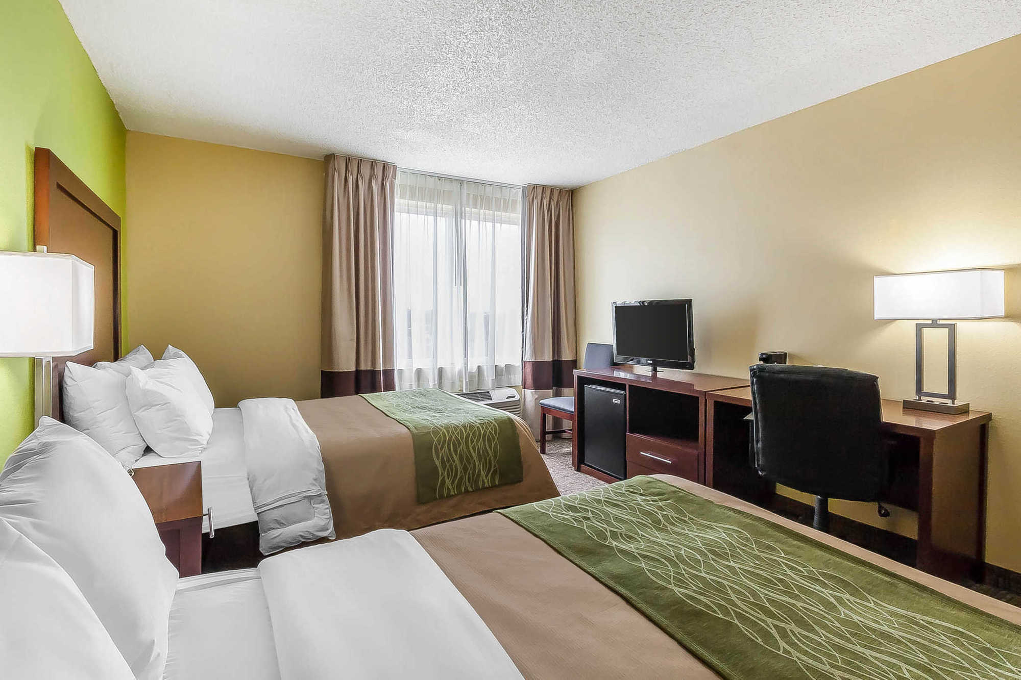 Comfort Inn St Petersburg North San Petersburgo Habitación foto